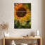 Tournesol Harnek-108557215