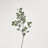 36'' Faux Silver Dollar Eucalyptus Branch
