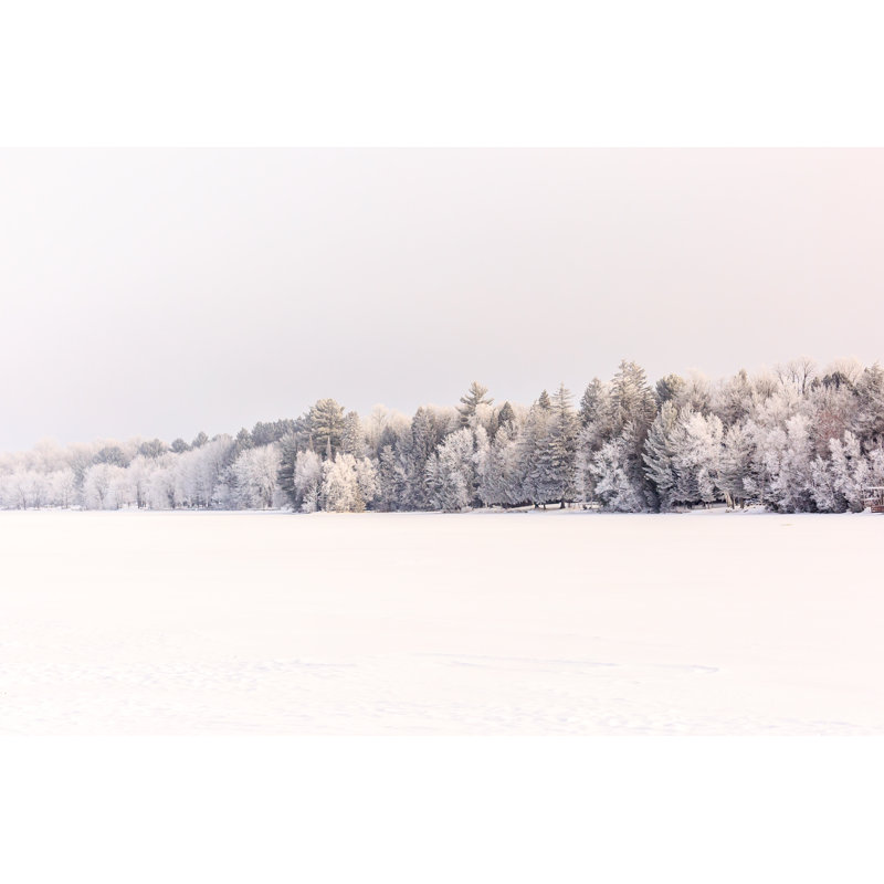 Frozen Forest - Wrapped Canvas Print, 20cm H x 30cm W x 3.8cm D