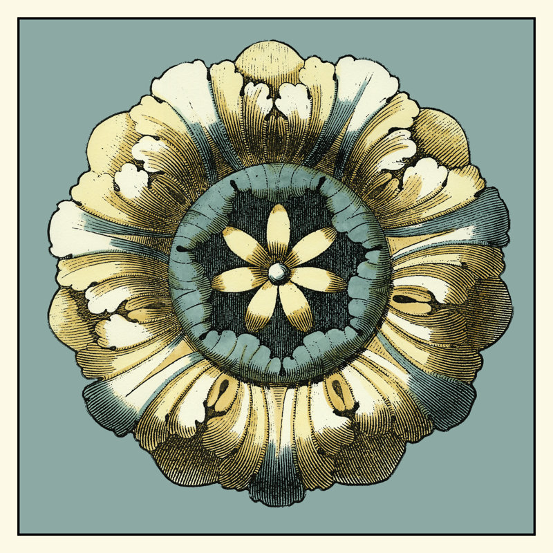 Floral Medallion VI by Vision Studio - Wrapped Canvas Print, 30cm H x 30cm W