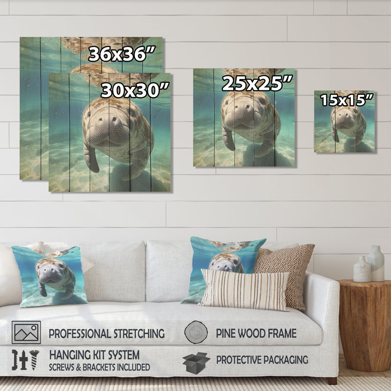 Curious Manatee Gaze I - Lamantin sur bois, H 25 po x l 25 po