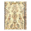 Wessling Oriental Area Rug in Ivory