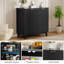 Armoire de rangement multifonctionnelle à 2 portes-917456059-908442933