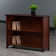 Eleia Bookcase