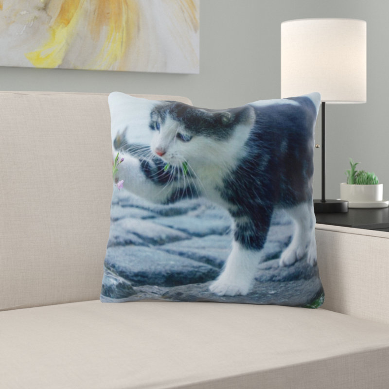 Coussin pour chat