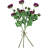 Rose Arrangement