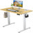 Jakyb Standing & Height-Adjustable Desks-1127193371-1127193345