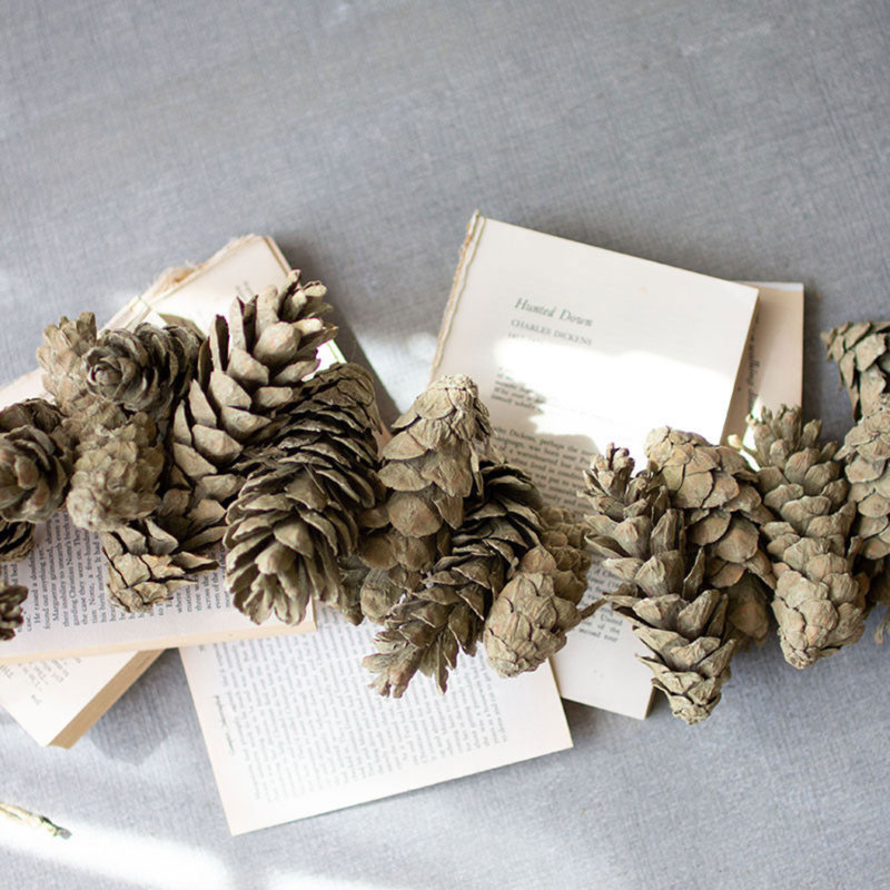 26'' in. Preserved Sage Garland