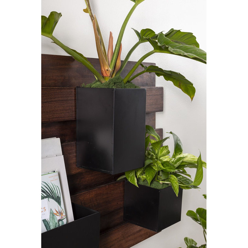 Hamite Handmade Wood Wall Planter