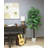 Faux Ficus Tree in Pot Liner-459885224-459885205