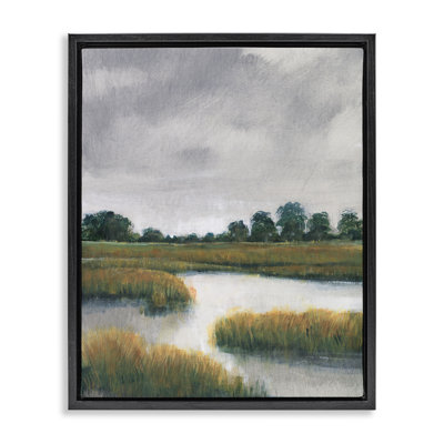 Paysage de marais nuageux