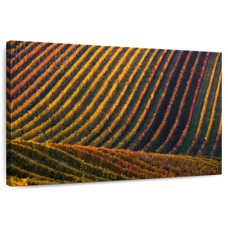 Alvord Vineyard Hill, 32" H x 48" W
