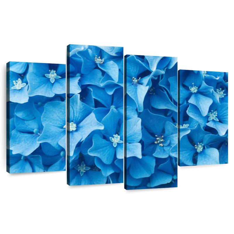 Harnek Dainty Blue Flowers, 42" H x 68" W