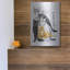 «American Shorthair» par Barbara Keith-486219261
