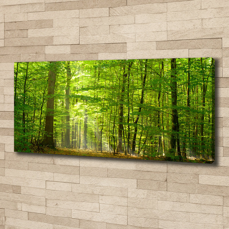 Deciduous Forest - Wrapped Canvas Print