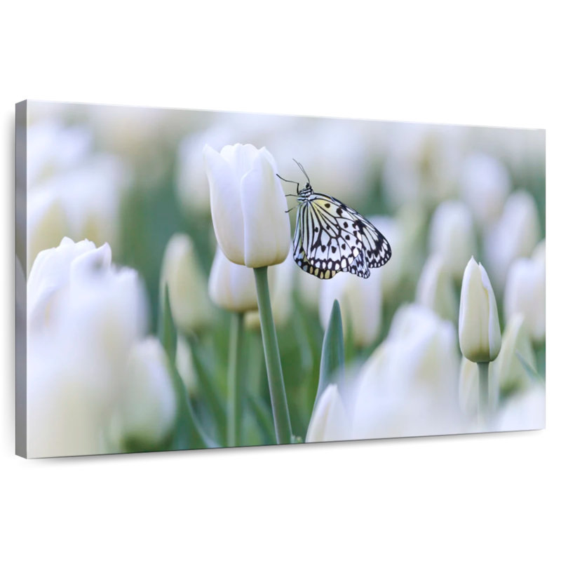 Papillon blanc perlé Brampt, H 8 po x l 12 po