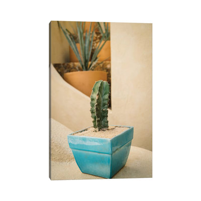 Cabo Cactus V by Bethany Young - Print on Canvas