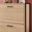 18 Pair Shoe Storage Cabinet
