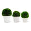 Faux Boxwood Topiary-1800377755
