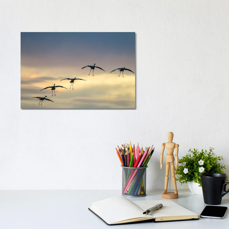 USA, New Mexico, Bosque Del Apache National Wildlife Refuge. Sandhill Cranes Landing At Sunset. by Jaynes Gallery - Wrapped Canvas Gallery-Wrapped Canvas Giclée