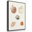 Pastel Knorr Shells VI 3 pièces-91891373-91891374
