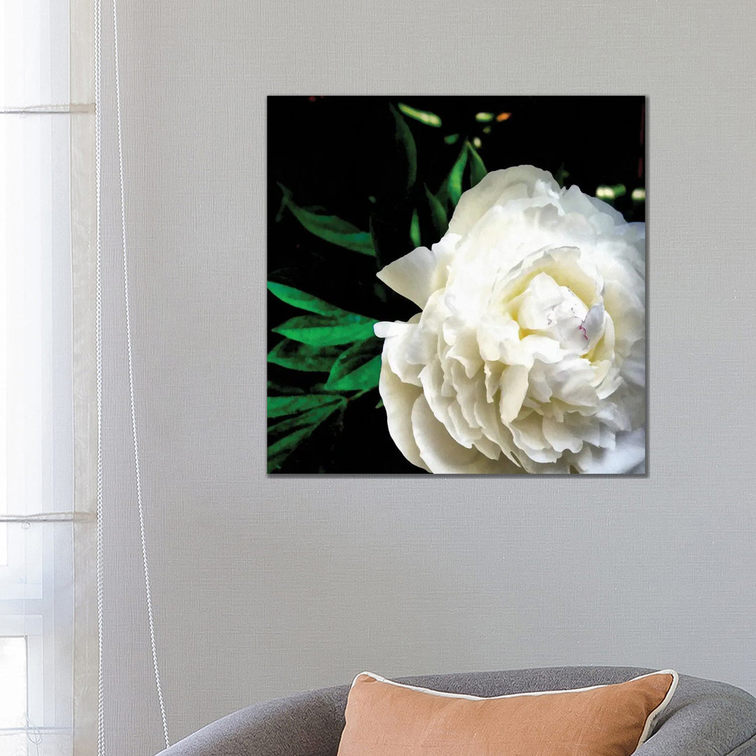 Leinwandbild White Peony von Michelle Calkins