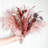 17'' Pampas Grass Plant