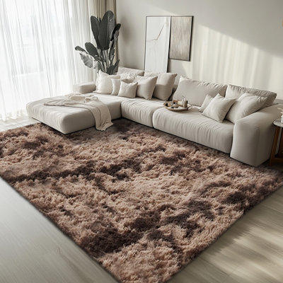 Tapis pour le salon de la chambre à coucher, tapis moelleux et moelleux à poils longs, tapis d'intérieur pour l'esthétique décorative