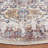 Astoria Performance Oriental Rug-966004809