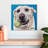 Brampt Yellow Lab Ball-109232745