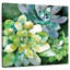 Harnek Summer Succulents-109207383