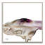 Kathy Morton Stanion - Painting on Canvas-1407721502-1407721488