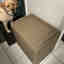 Customer photo 3 of 4