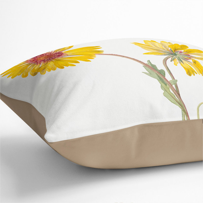 Perennial Gaillardia By Mary Vaux Walcott Square Throw Cushion, Stone, 40cm H x 40cm W x 15cm D
