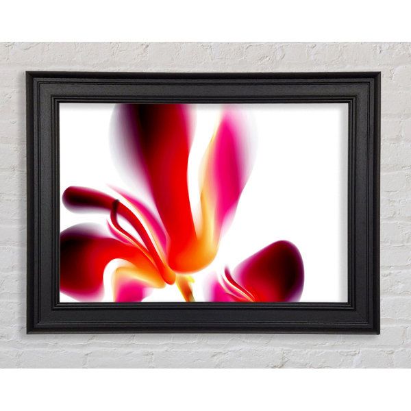 Ivy Bronx Raspberry Ripple Framed Print | Wayfair.co.uk