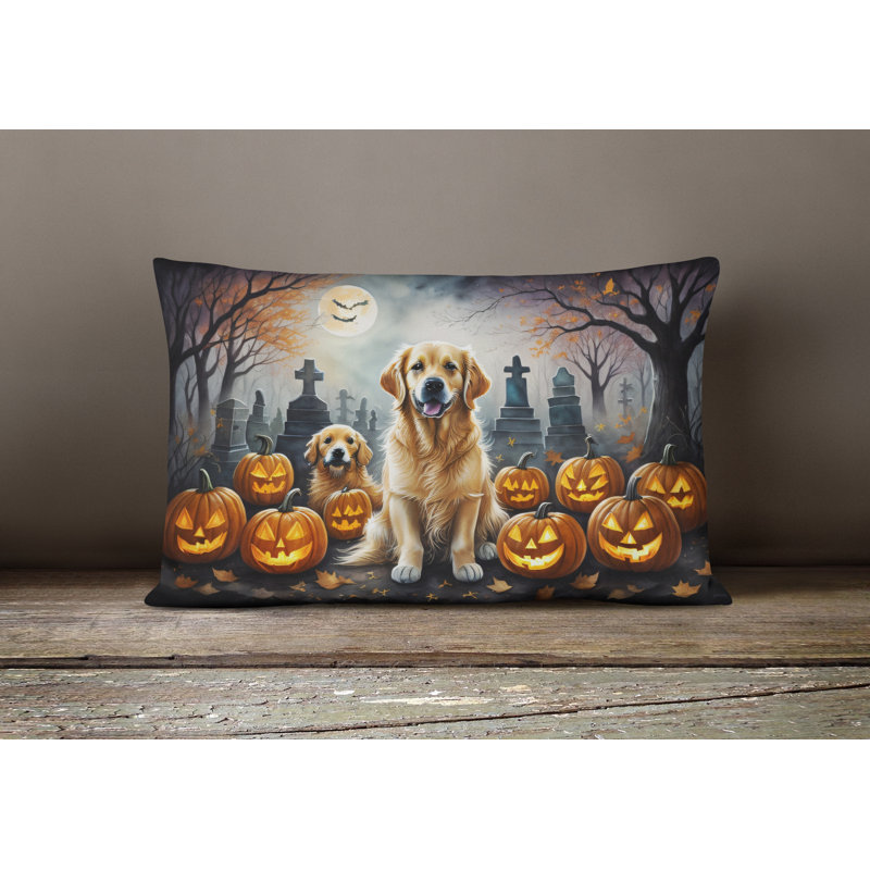 Other/No Pattern Outdoor Throw Pillow