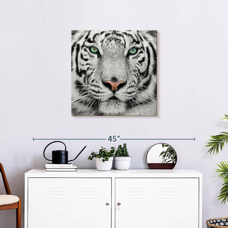 Tigre blanc aux yeux verts Brampt, H 24 po x l 24 po