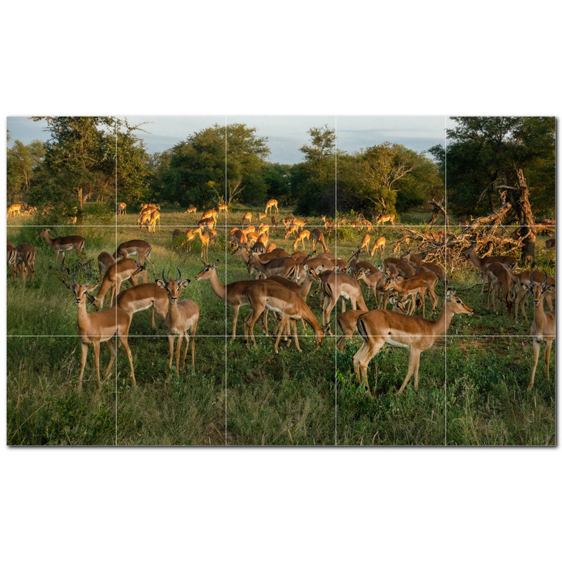 12'' x 12'' Satin Ceramic Decorative Mural