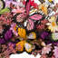 Butterflies And Daisies Floral Spring Wreath - 23.5"