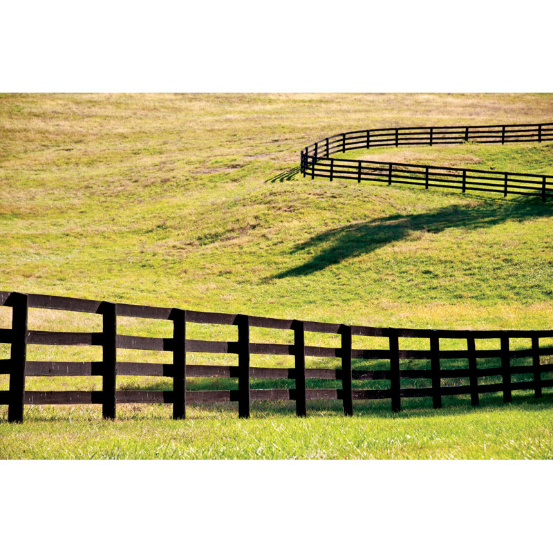 Pasture 1 Piece Wrapped Canvas Wall Art, 81cm H x 122cm W x 3.8cm D