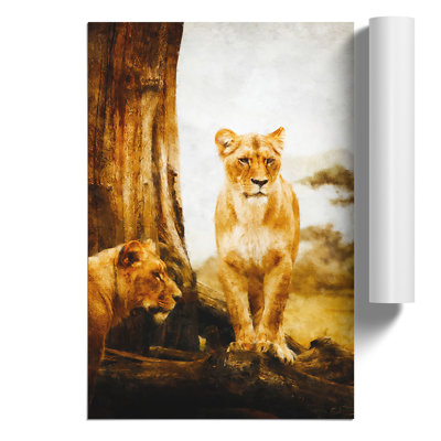 Two Lioness - No Frame Print
