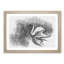 Swan in Abstract - Framed Print-55728419-55728424