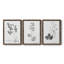 «Botanical Imprint I», ensemble de 3 peintures sur toile encadrées-1473007667-1473007691