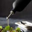 Truffle Oil Cruet