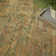 Bungalow Rose Luxurious Olive Vintage Indoor Rug
