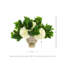 Hydrangea and Peperomia Arranged in a Metal Pot