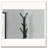 Coat Rack, Hall Tree, Free Standing, 8 Hooks-1854373126