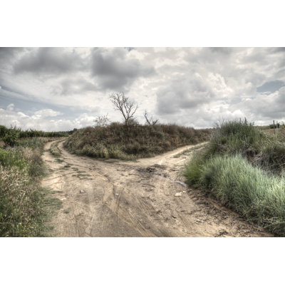 Bifurcation In The Path by Fernandogarciaesteban - Wrapped Canvas Print