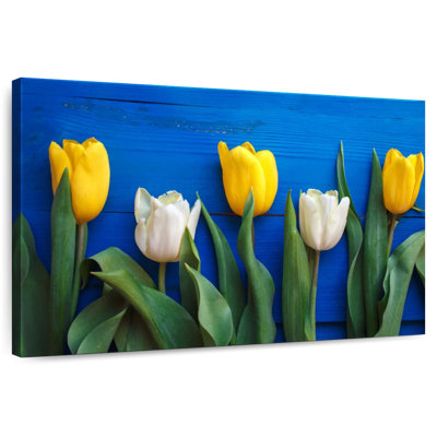 Tulipes blanches et jaunes Harnek