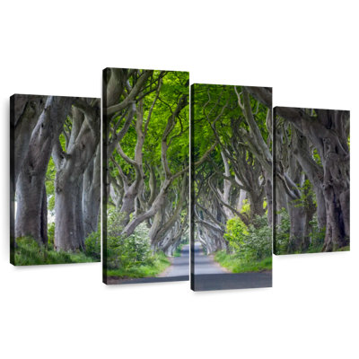 Harnek The Dark Hedges In Ireland